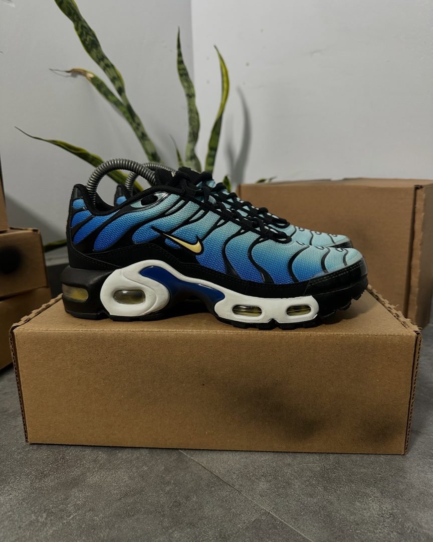 Nike Air Max Plus