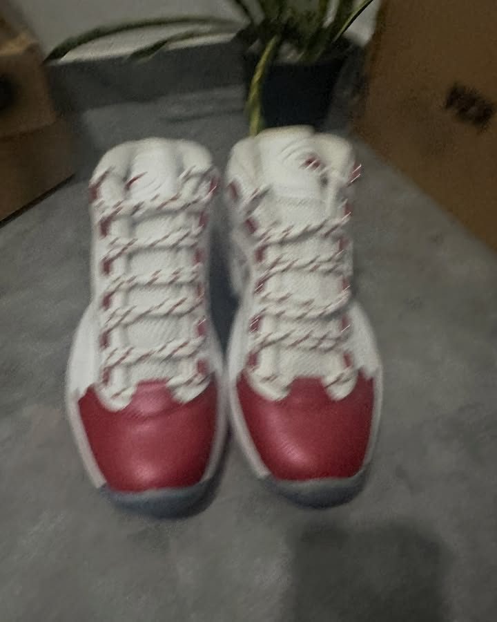 Reebok Cuestión Mid
