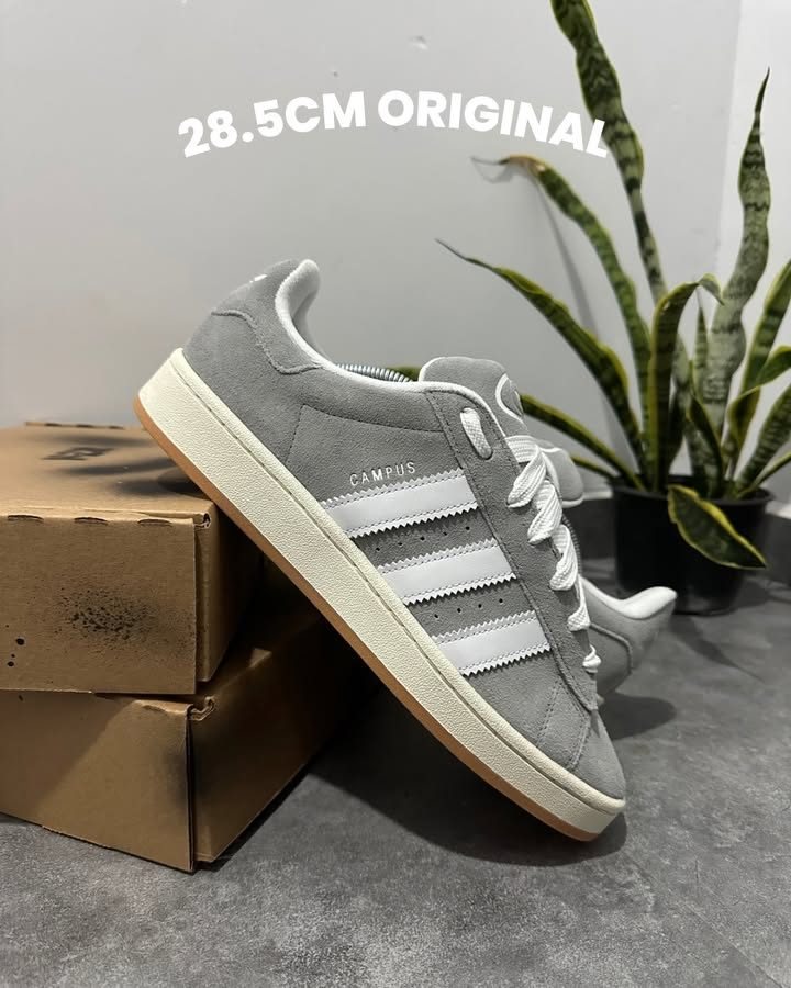 Adidas Campus