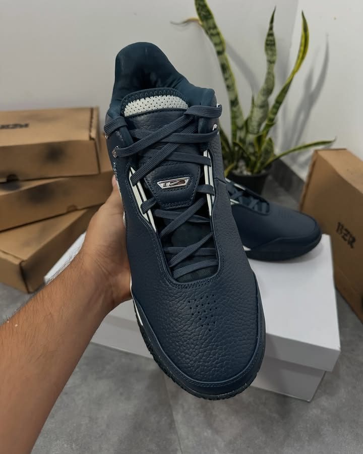 Nike Lebron