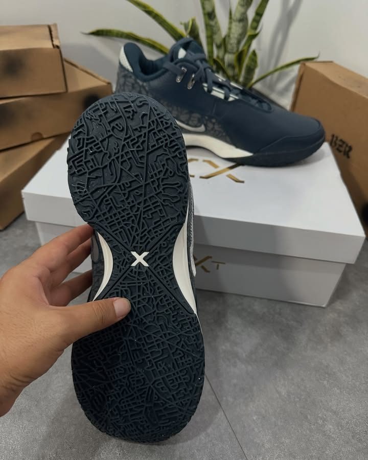 Nike Lebron