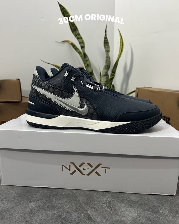 Nike Lebron