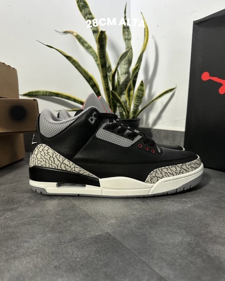 Jordan 3